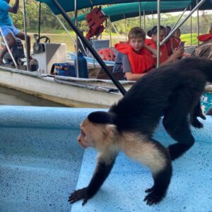 Mono en la lancha tour isla de monos
