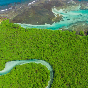 Tour Venas Azules Colon Panama Latino Travel